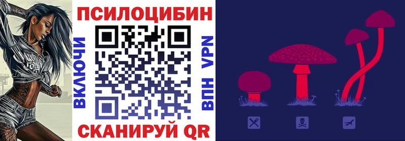 Галлюциногенные грибы Magic Shrooms  Щёлково 